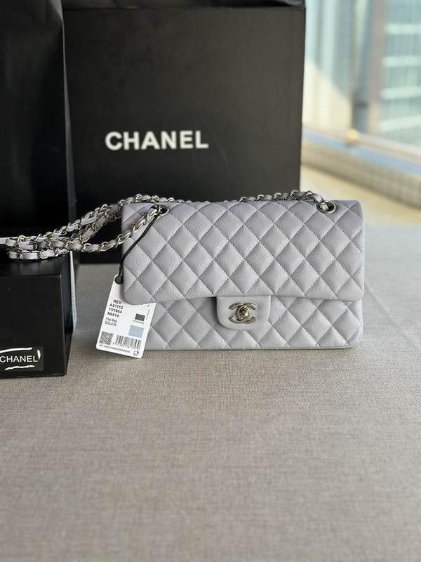 Chanel Handbags 311